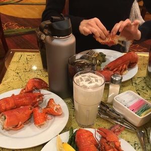 Meet your Posher, Sammy